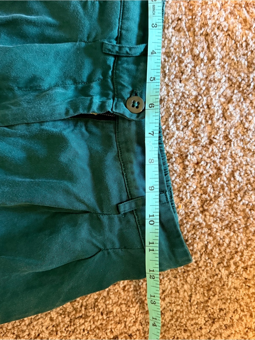 DONNI Twill Pleated Stripe Pants - Picture 11 of 14